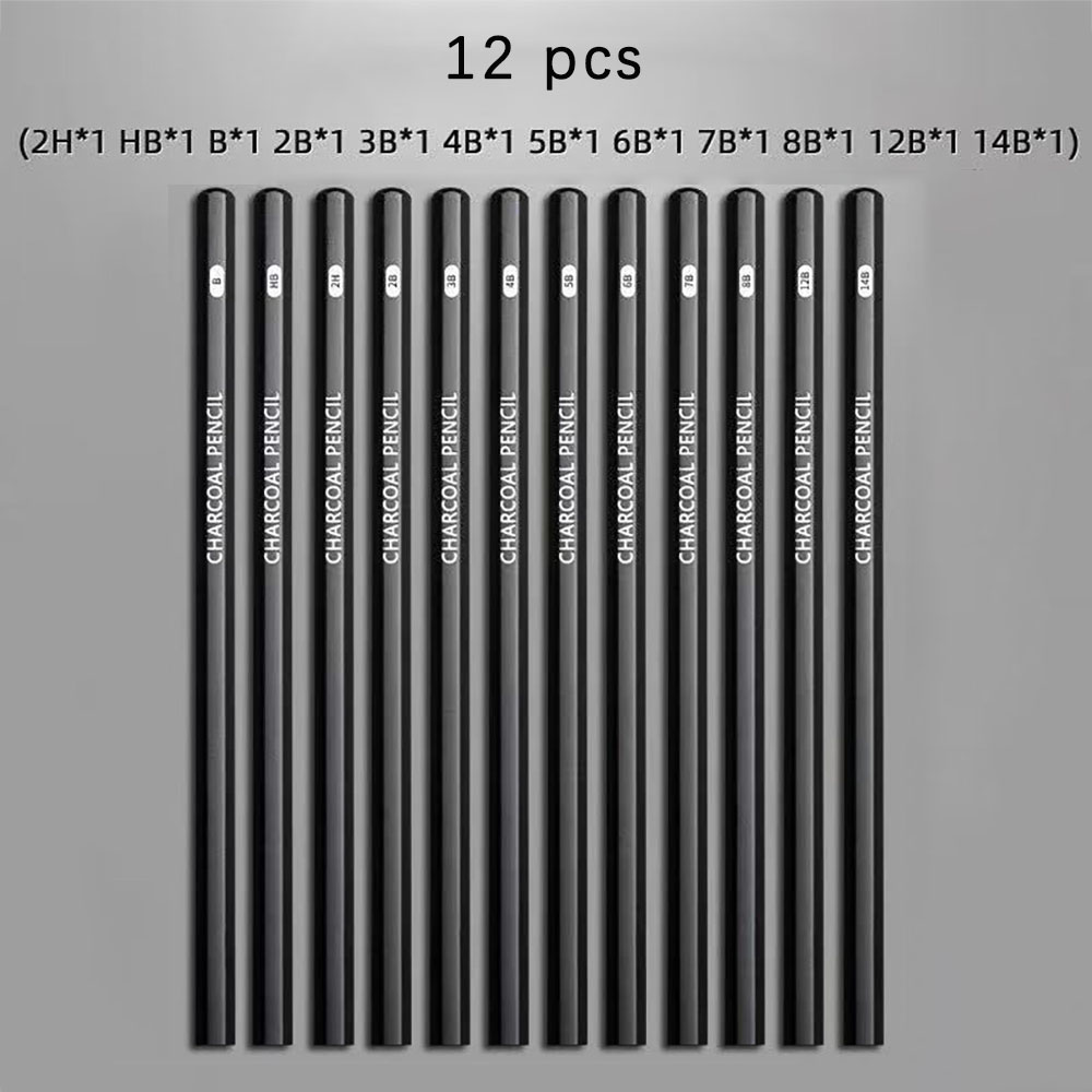 Sketching Charcoal Set - 12 crayons à dessin pour étudiants,