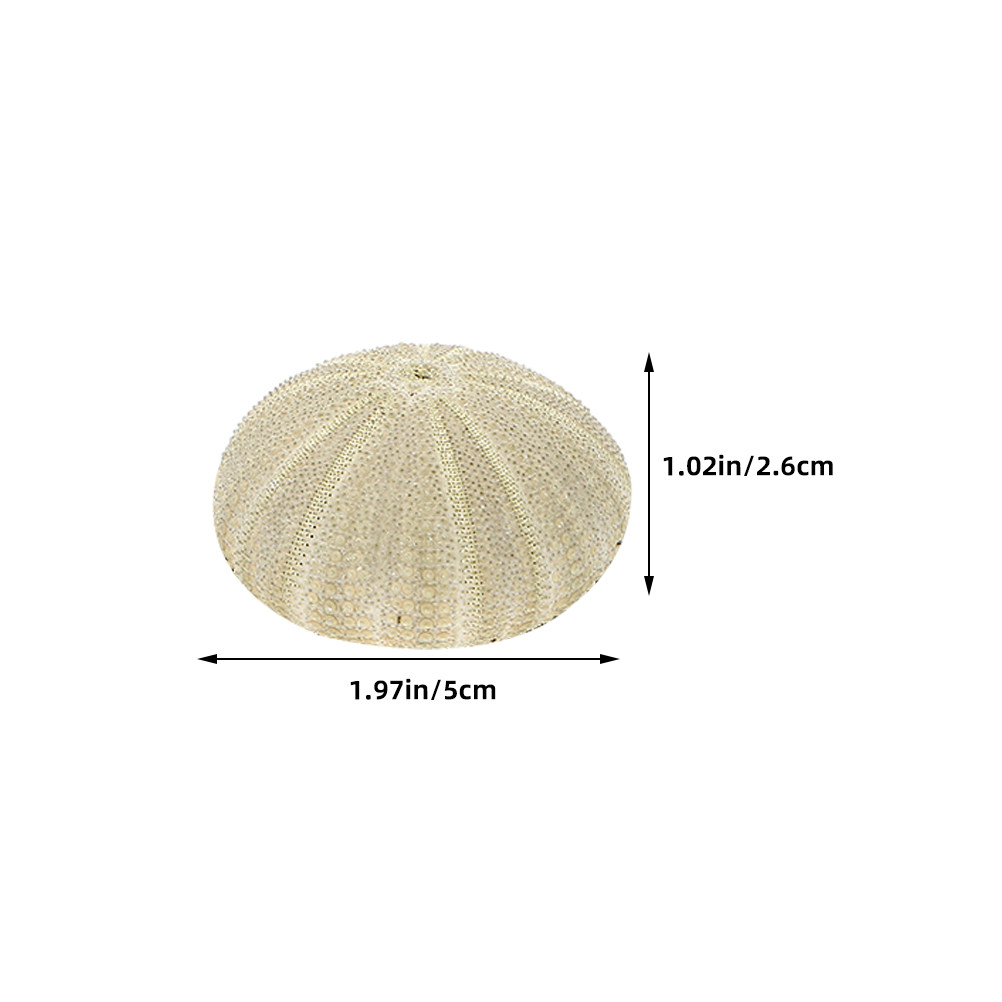 18 coquilles d'ormeaux pour re - Art Craft Project avis et prix