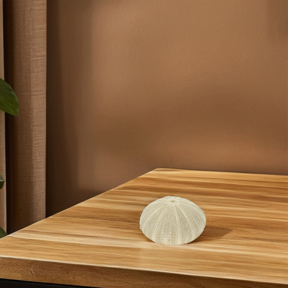18 coquilles d'ormeaux pour re - Art Craft Project avis et prix