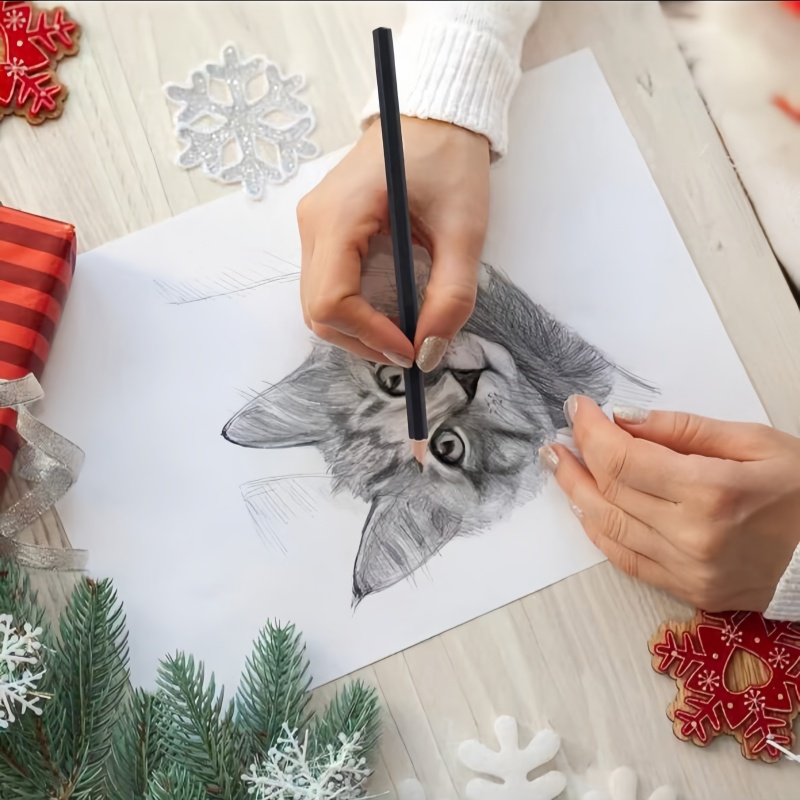 Ensemble d'art pour le dessin  - Sketching Charcoal Set avis et prix